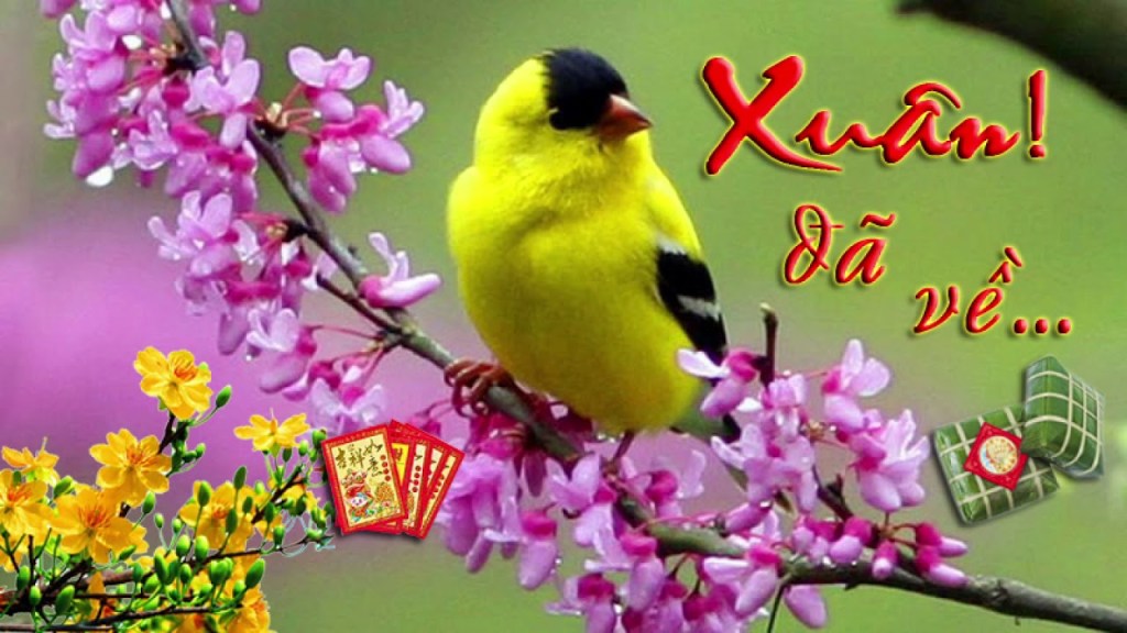 Album liên khúc chúc xuân remix Quách Tuấn Du - Lâm Chi Khanh