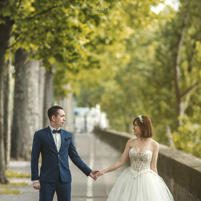 Album nhạc đám cưới chọn lọc nhạc sống đám cưới chào xuân năm mới